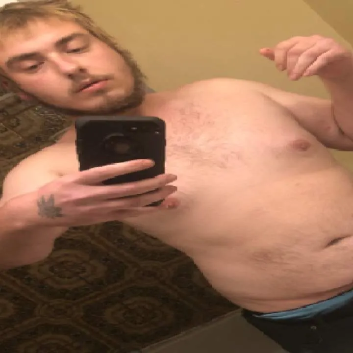 Bear Photo On Jungo Live