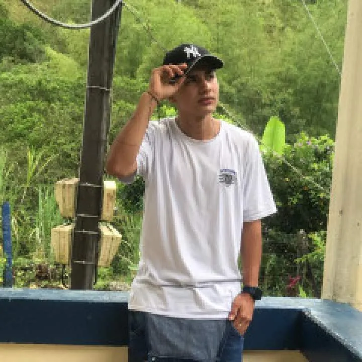 Marin Photo On Jungo Live