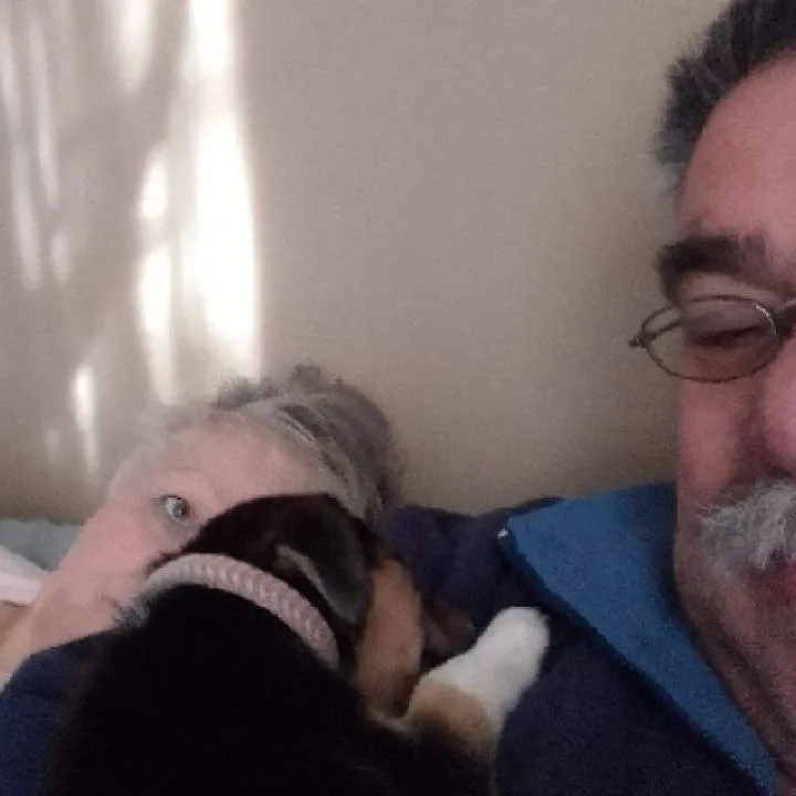 Frankie Photo On Jungo Live