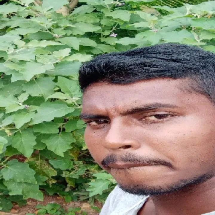 Ravneel Photo On Jungo Live