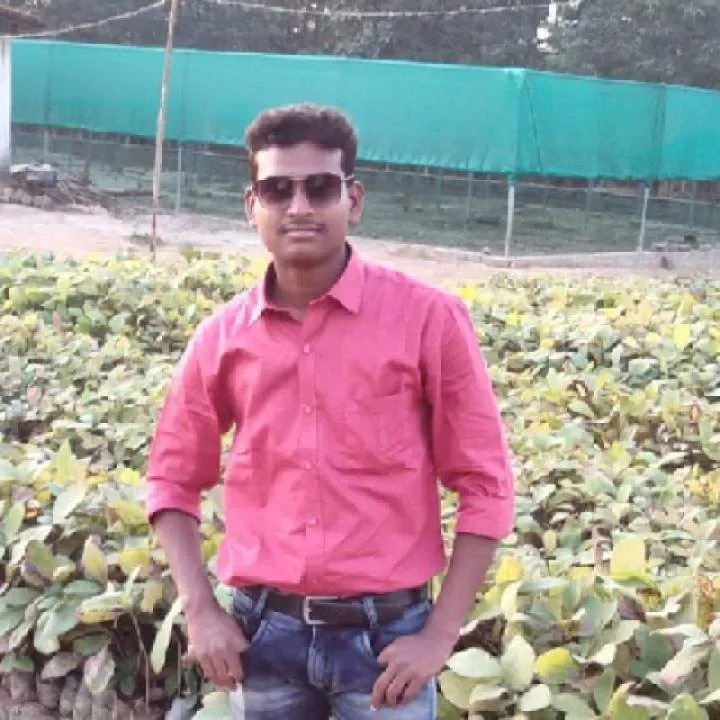 Skrkl Photo On Jungo Live