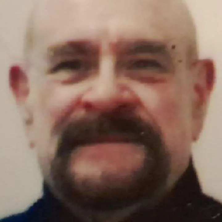 Vin Photo On Jungo Live