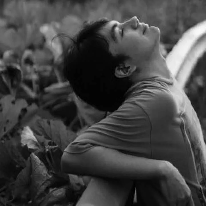 Leon Photo On Jungo Live