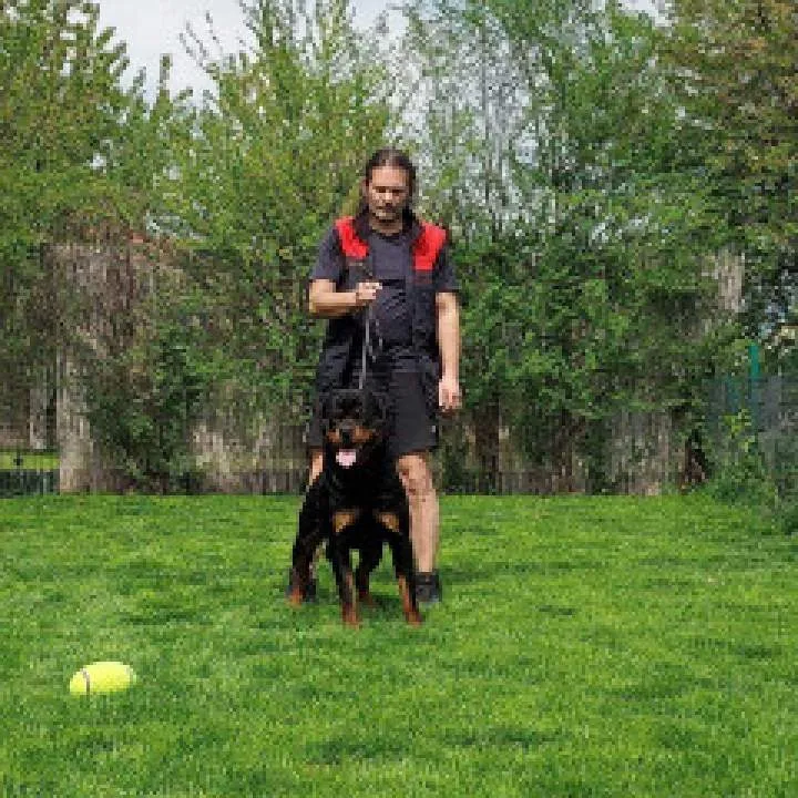 Valiro Photo On Jungo Live