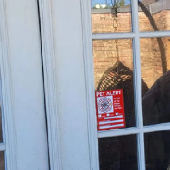 0 Photo On Jungo Live