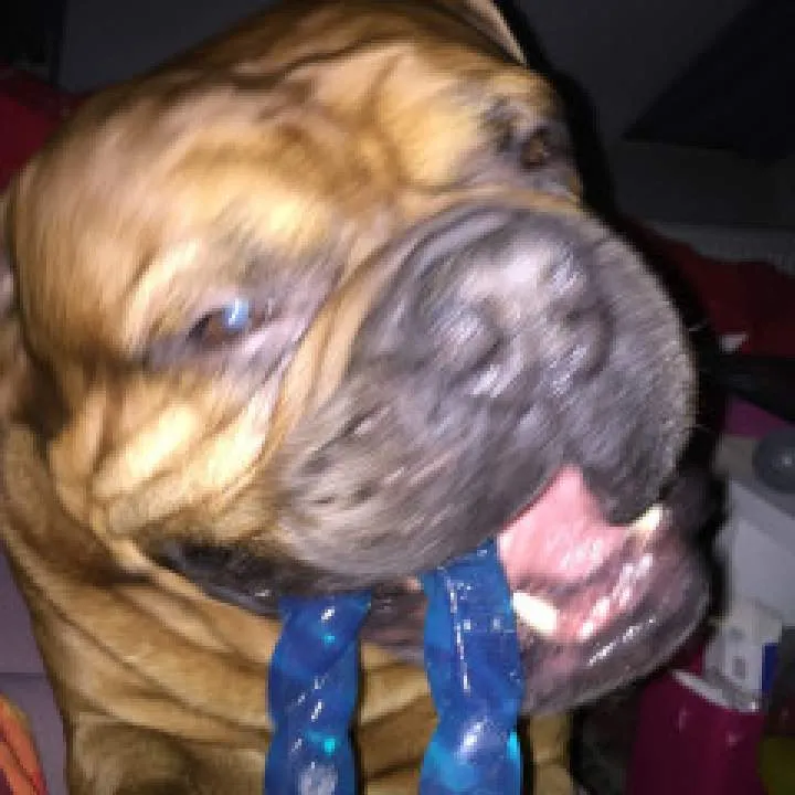 2hot4u.... Photo On Jungo Live