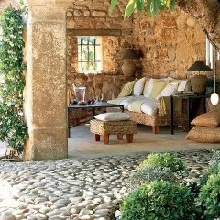 Guest Photo On Jungo Live