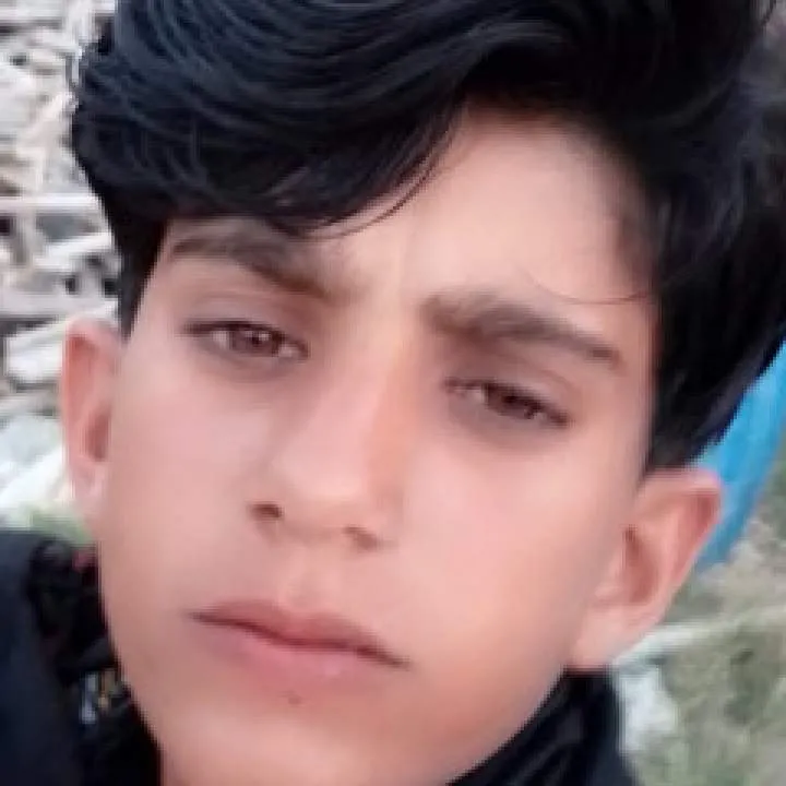 Bux Photo On Jungo Live