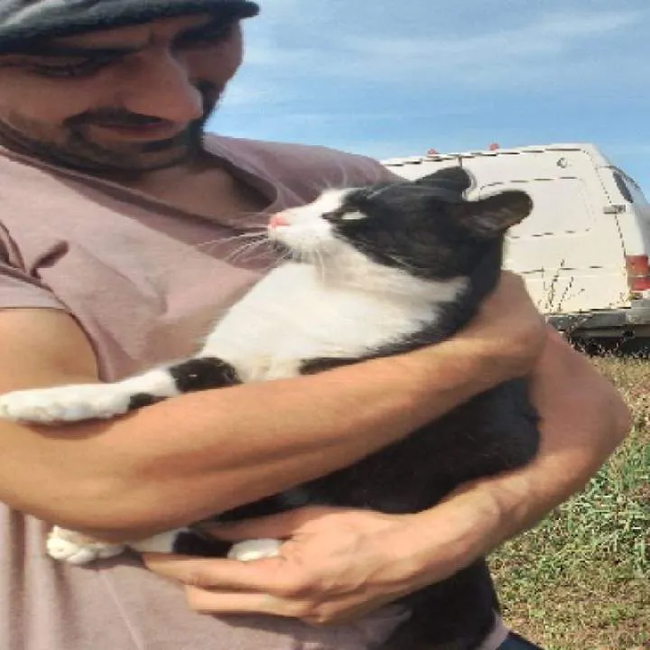 Grigore Photo On Jungo Live