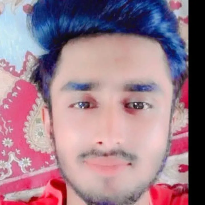 Sunny Photo On Jungo Live