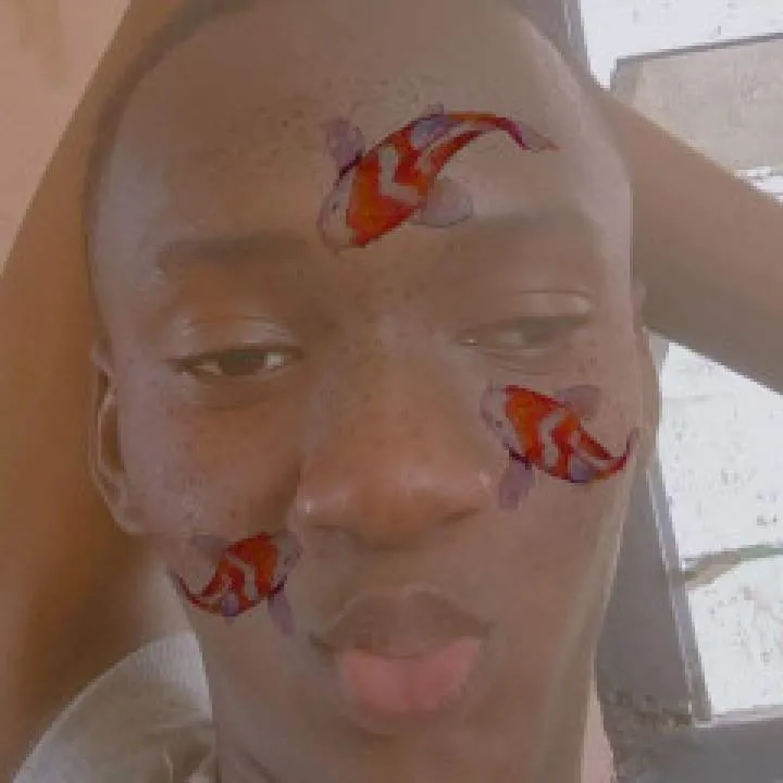 Yann Photo On Jungo Live