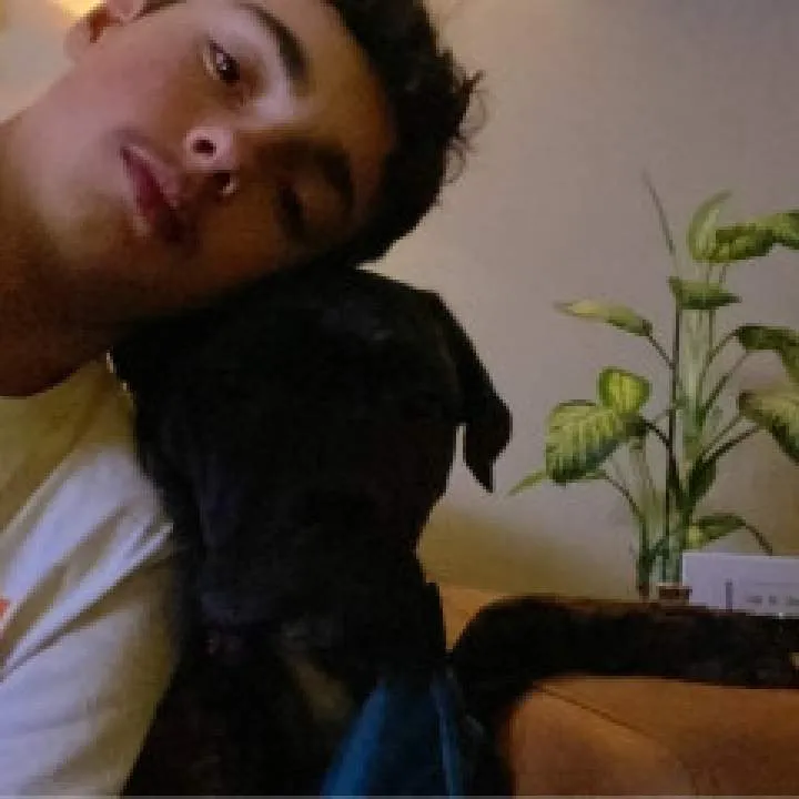 Jazz Verbeekjazz Photo On Jungo Live