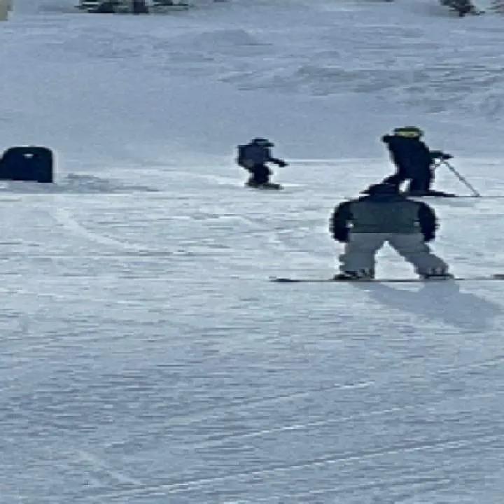 ....vaquero Photo On Jungo Live