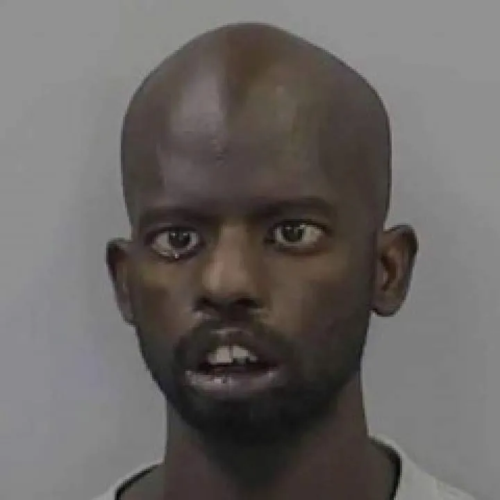 Icy.... Photo On Jungo Live