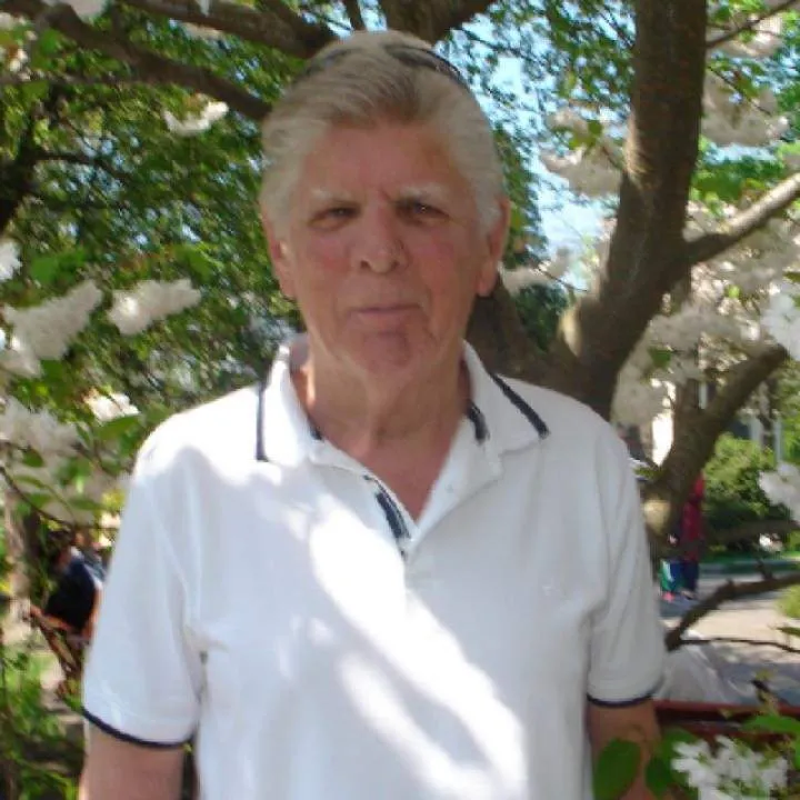 Sapphire........ Photo On Jungo Live