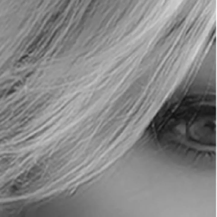 Pollyanna Photo On Jungo Live