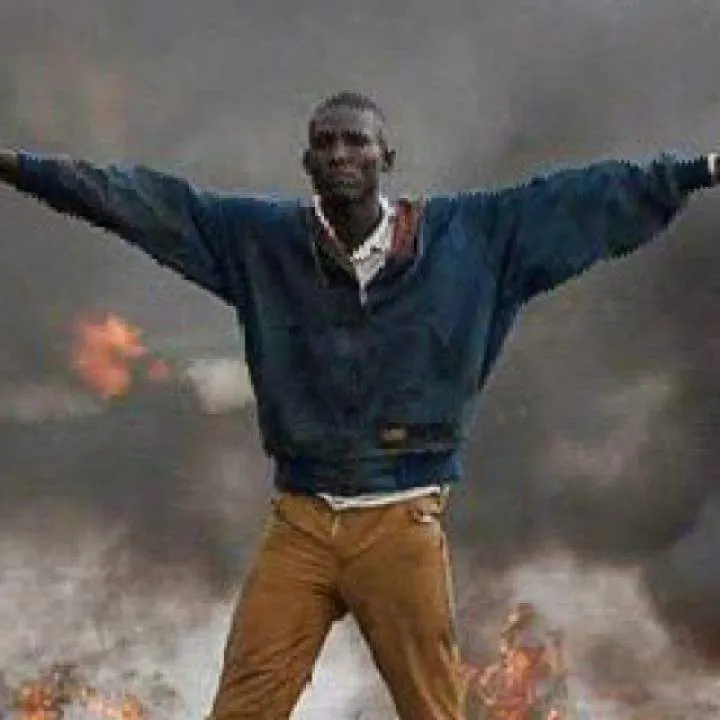 Elo Photo On Jungo Live