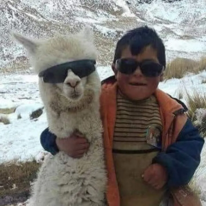 Ggiioo Photo On Jungo Live