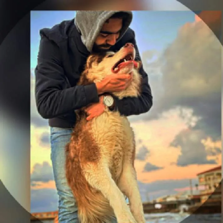 See Photo On Jungo Live