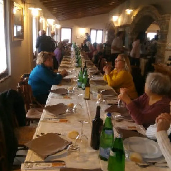 Mare Photo On Jungo Live