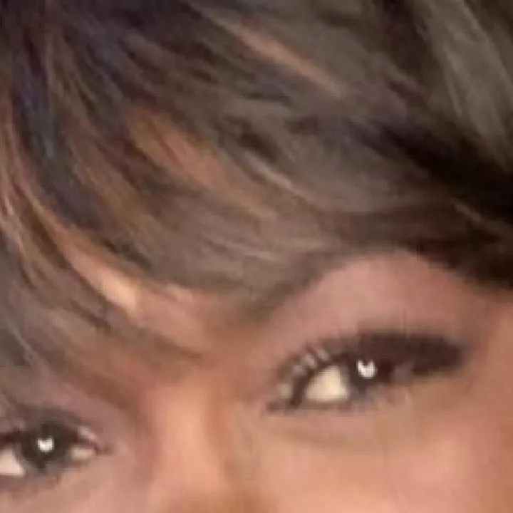 Sugar Photo On Jungo Live