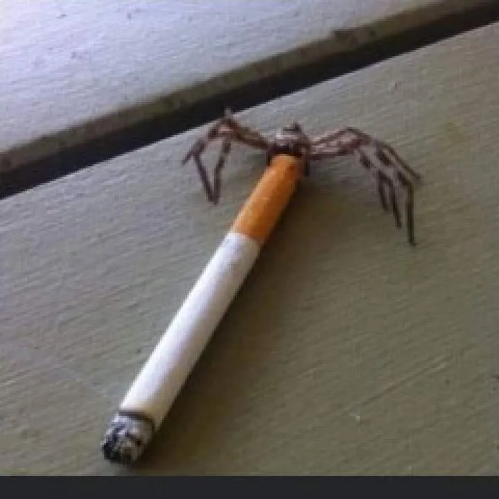 Diggam Photo On Jungo Live