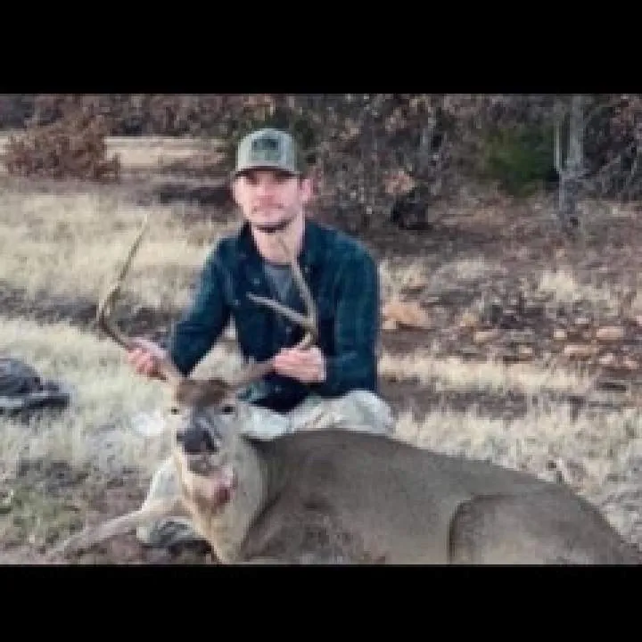 Mark Hey Photo On Jungo Live