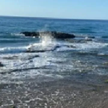 Hatar Photo On Jungo Live