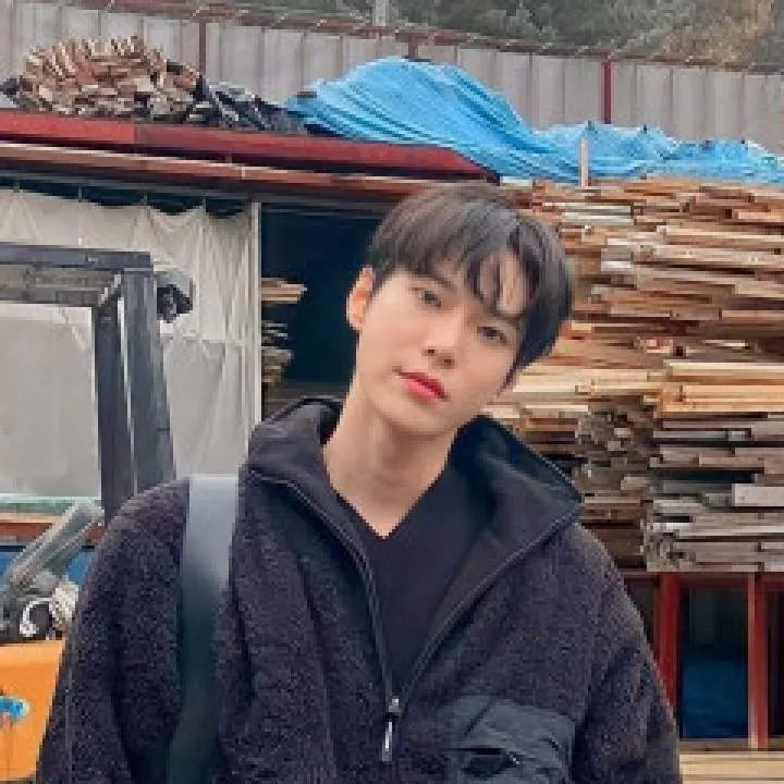 Dapp Photo On Jungo Live