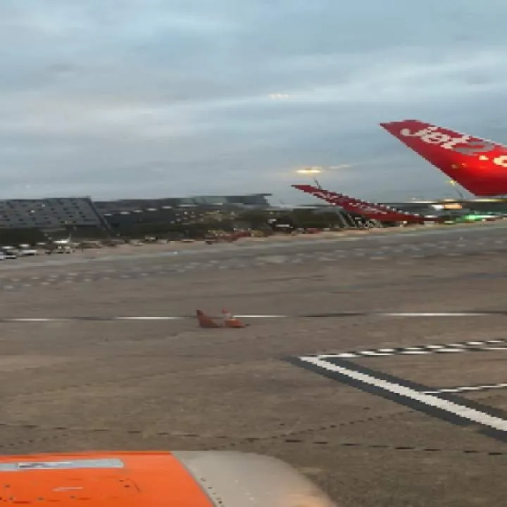 Am Photo On Jungo Live