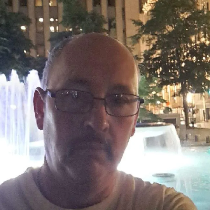 Bull Photo On Jungo Live