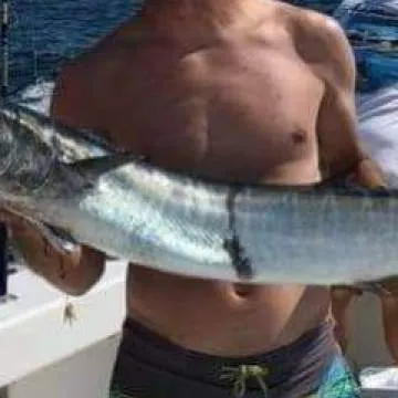 Shejona Photo On Jungo Live