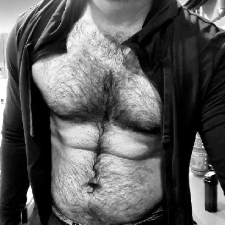 Stallion Photo On Jungo Live