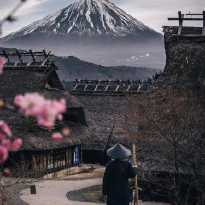 Mimie Photo On Jungo Live