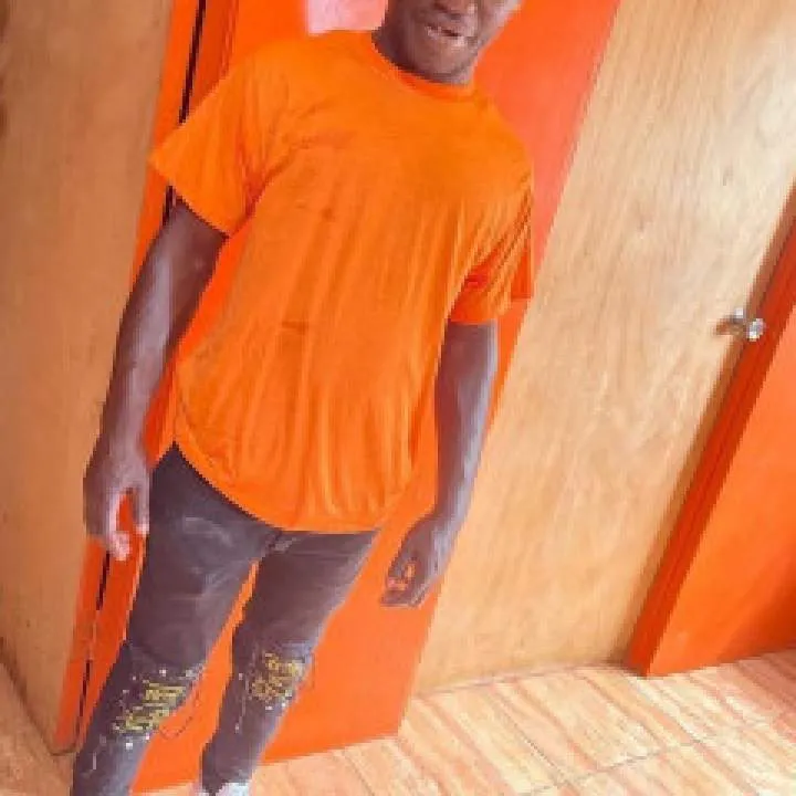 Ants Man Photo On Jungo Live