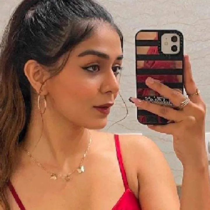 **** In Airport Delhi —>(( ....)) - Delhi Ncr Photo On Jungo Live