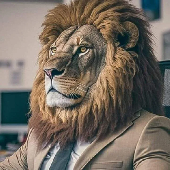 Saksouka Photo On Jungo Live