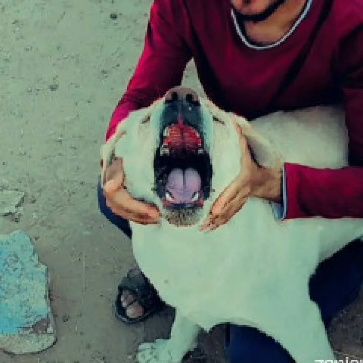 Karan Photo On Jungo Live