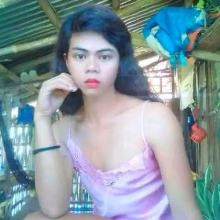 Zoren Photo On Jungo Live