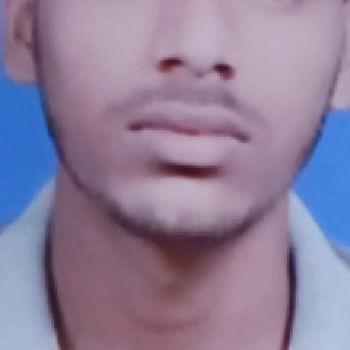 Rz Photo On Jungo Live