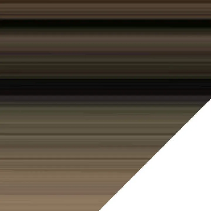 Rossi Photo On Jungo Live