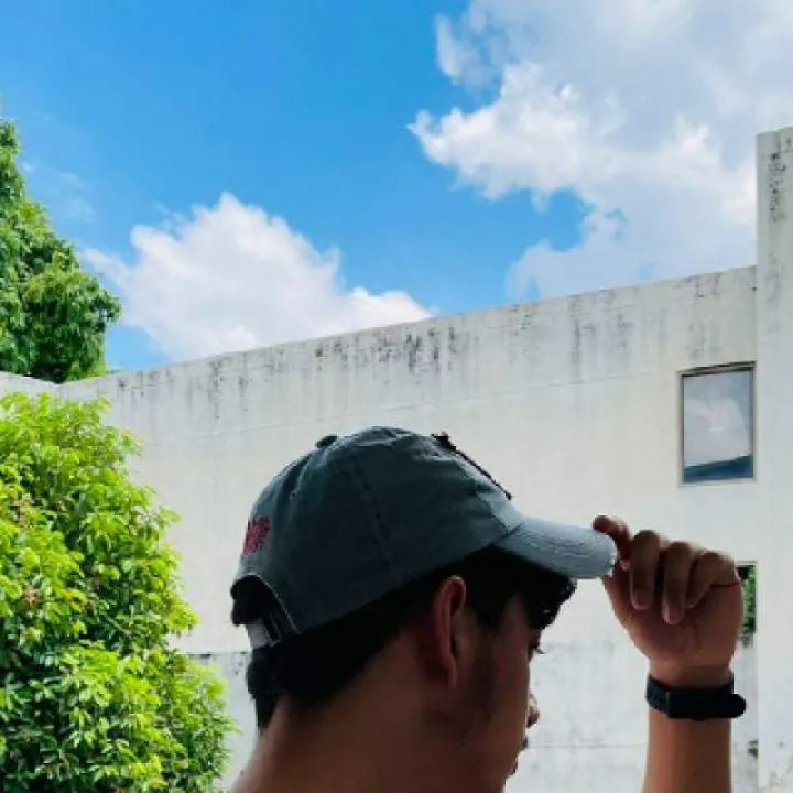 Chipmunk Photo On Jungo Live