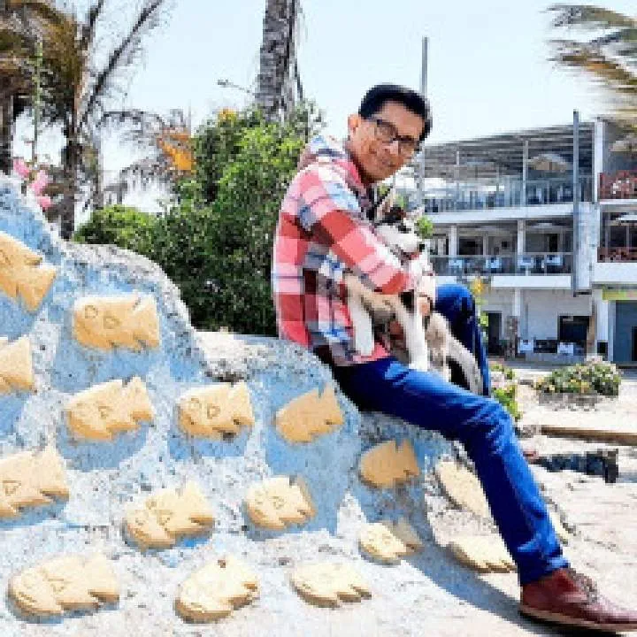 Butterfly Photo On Jungo Live