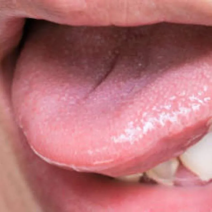 Clauslave Photo On Jungo Live