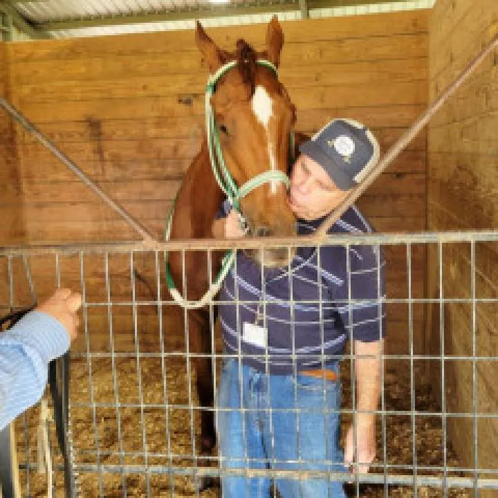 Country69 Photo On Jungo Live