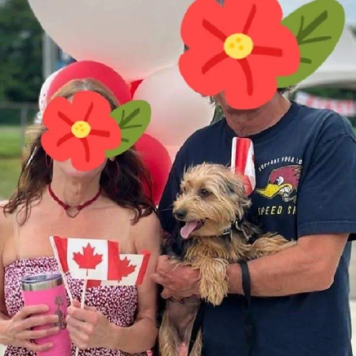 Charnsher Photo On Jungo Live