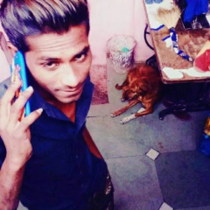 Kvr Photo On Jungo Live