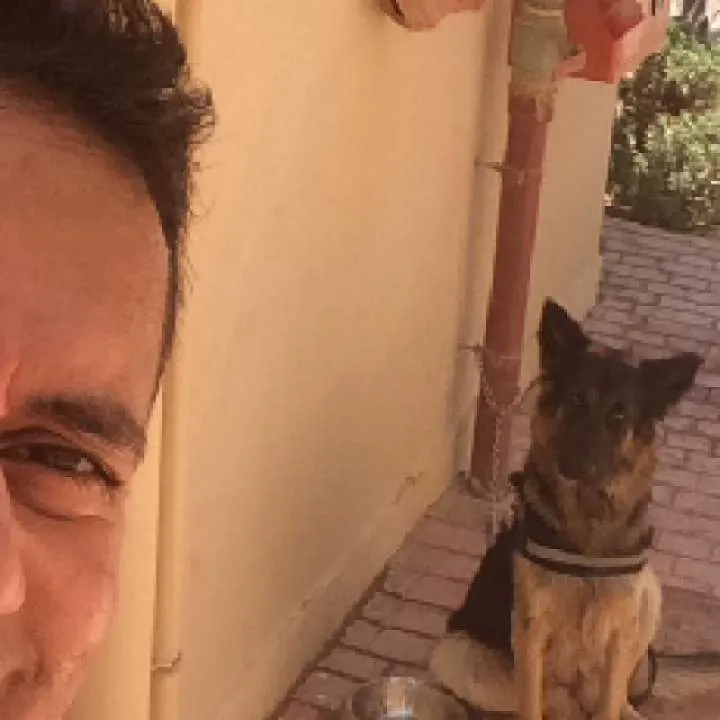 Bolbol Photo On Jungo Live