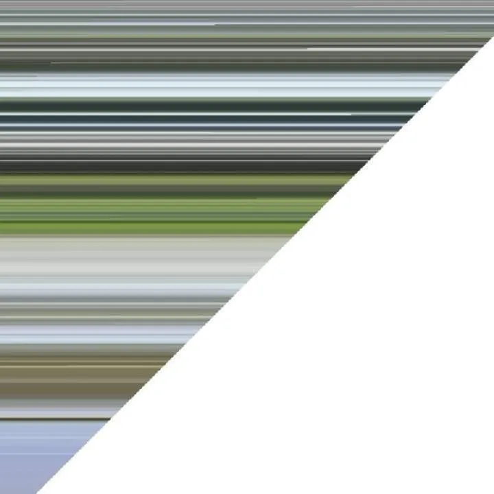 Szasza........ Photo On Jungo Live