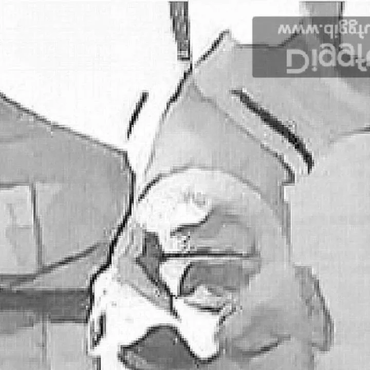 Szalony.... Photo On Jungo Live